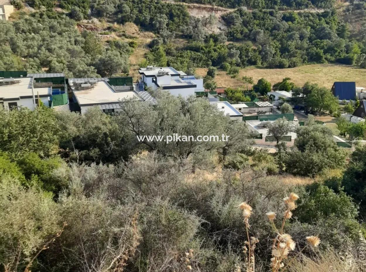 12 300 M2 Land Suitable For Investment For Sale In Antalya Kaş Kalkan Islam