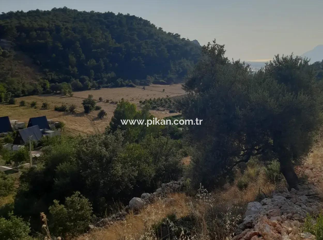 12 300 M2 Land Suitable For Investment For Sale In Antalya Kaş Kalkan Islam