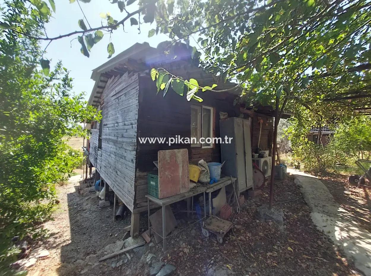 For Sale With A Numbered Building On 2.500M2 Treasury Land In Ortaca Eskiköy