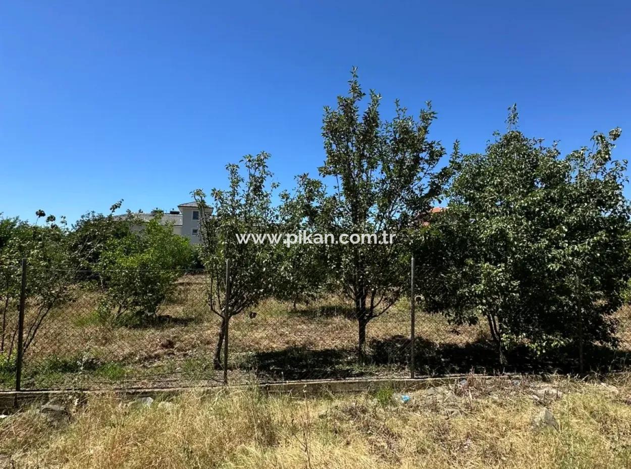 650 M2 30% Zoned Land For Sale In Ortaca Center