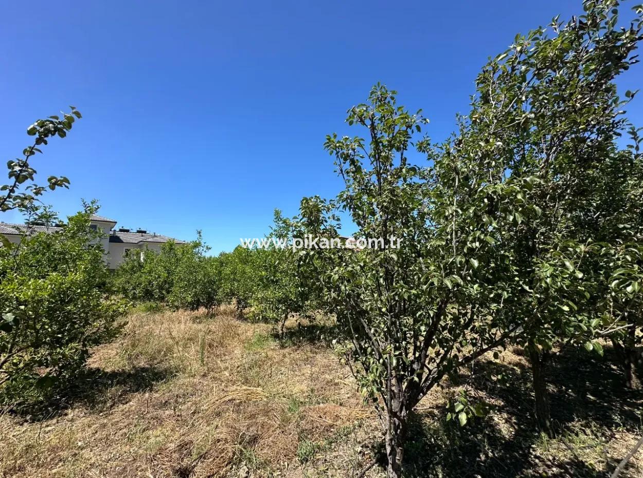 650 M2 30% Zoned Land For Sale In Ortaca Center