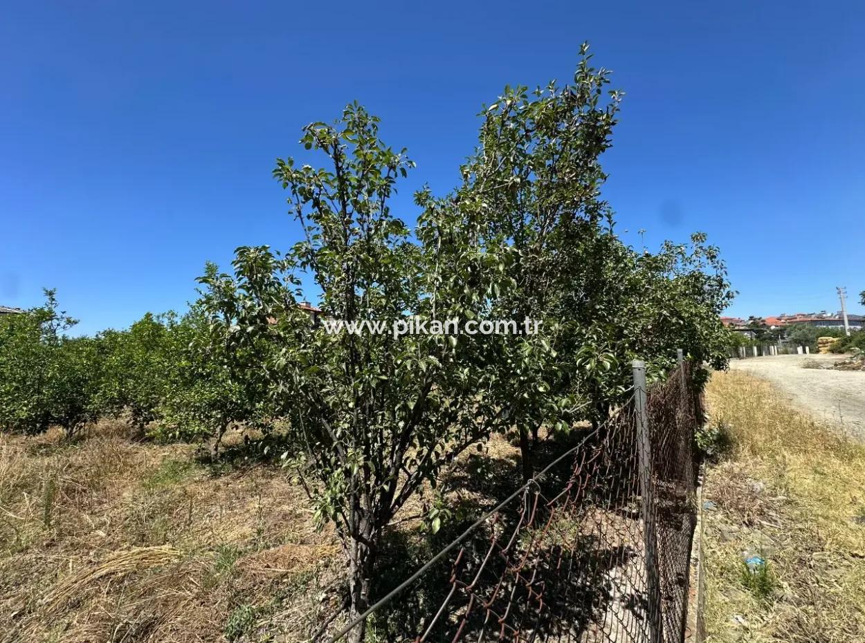 650 M2 30% Zoned Land For Sale In Ortaca Center