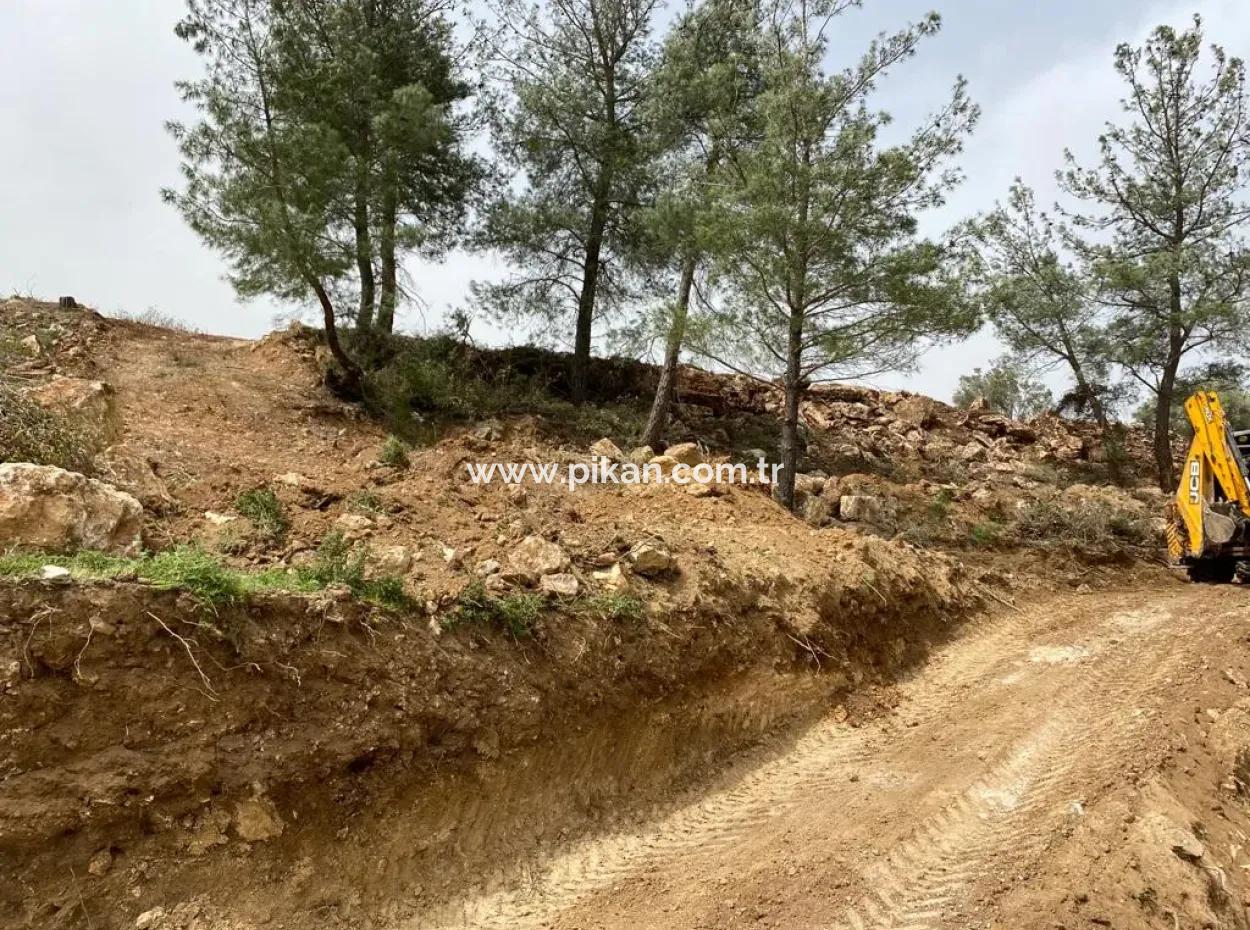 2500 M2 Flat Data Detached Land For Emergency Sale In Milas Karacahisar, Open To Offer