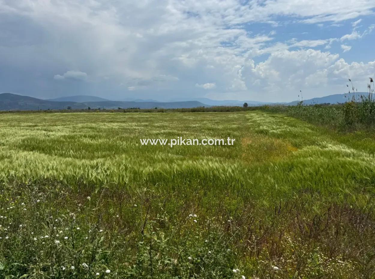 Milas Avşar 27.216 M2 Flat Data Detached Land For Urgent Sale, Open To Offer