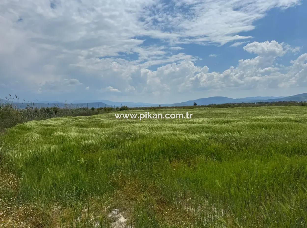 Milas Avşar 27.216 M2 Flat Data Detached Land For Urgent Sale, Open To Offer