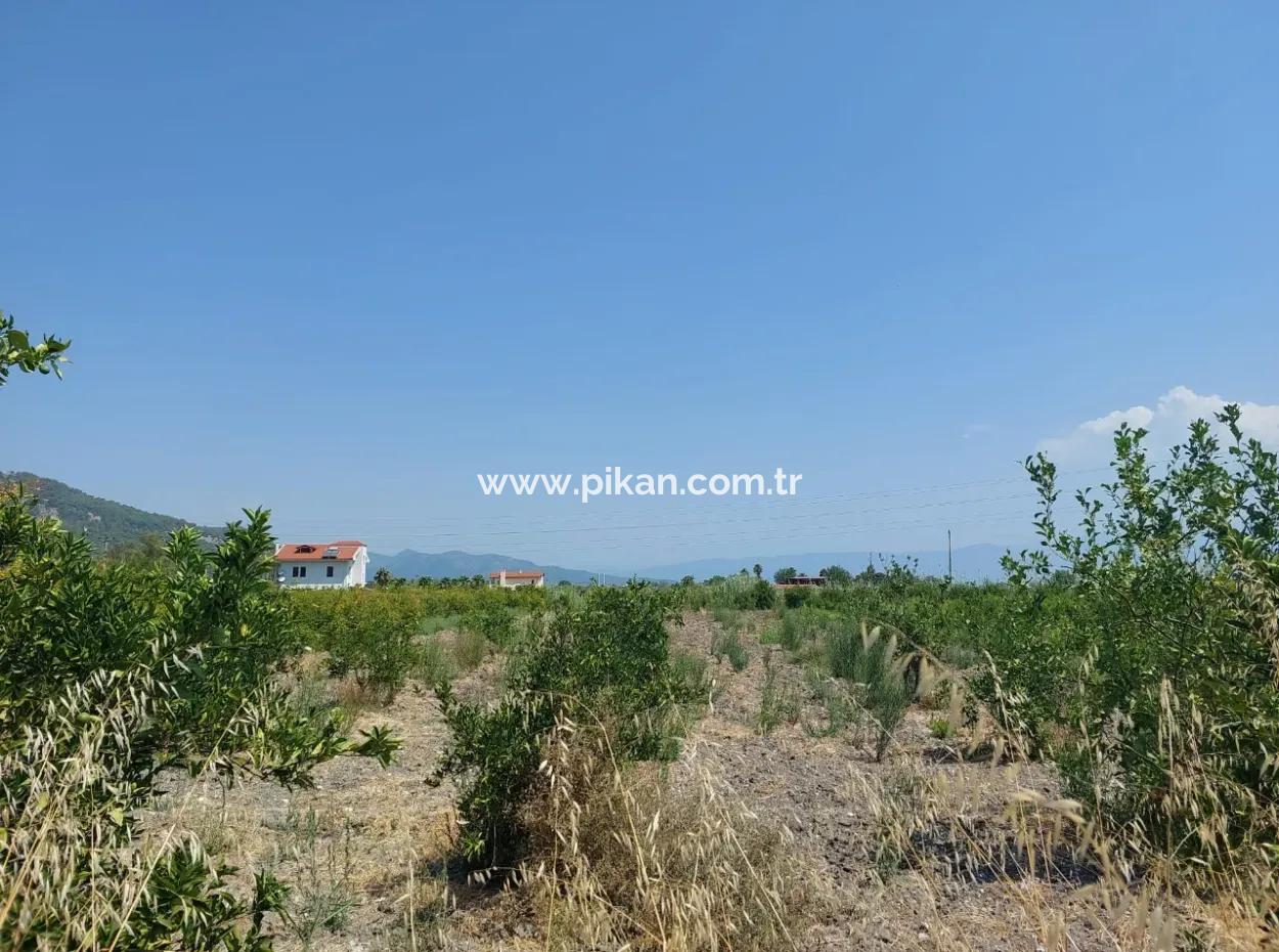 2.800 M² Land For Sale In Dalyan, Muğla, Close To Dalyan Canal