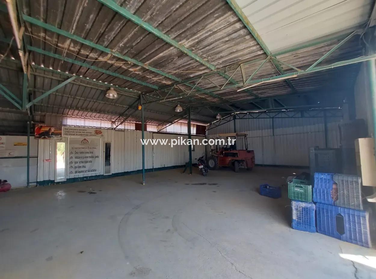 250 M² Full Use Warehouse For Rent In Dalyan, Muğla