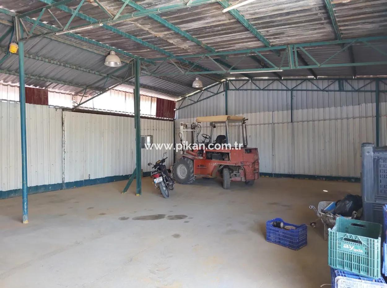 250 M² Full Use Warehouse For Rent In Dalyan, Muğla