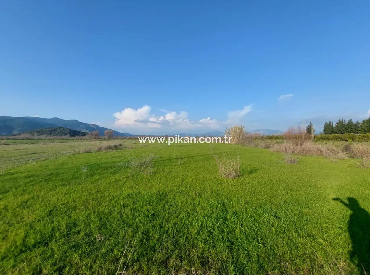 14.500 M² Fertile Land In Ortaca Güzelyurt For Long-Term Rental – Suitable For Animal Husbandry