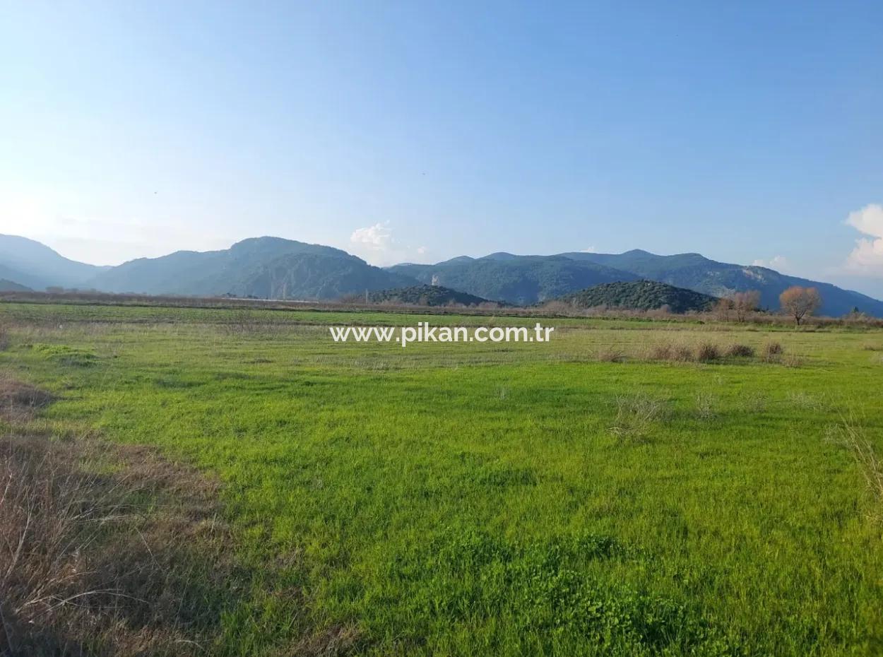 14.500 M² Fertile Land In Ortaca Güzelyurt For Long-Term Rental – Suitable For Animal Husbandry
