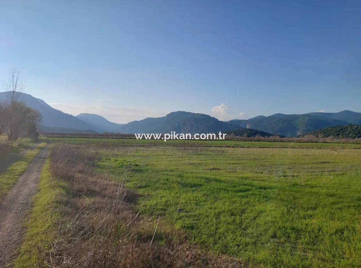 14.500 M² Fertile Land In Ortaca Güzelyurt For Long-Term Rental – Suitable For Animal Husbandry