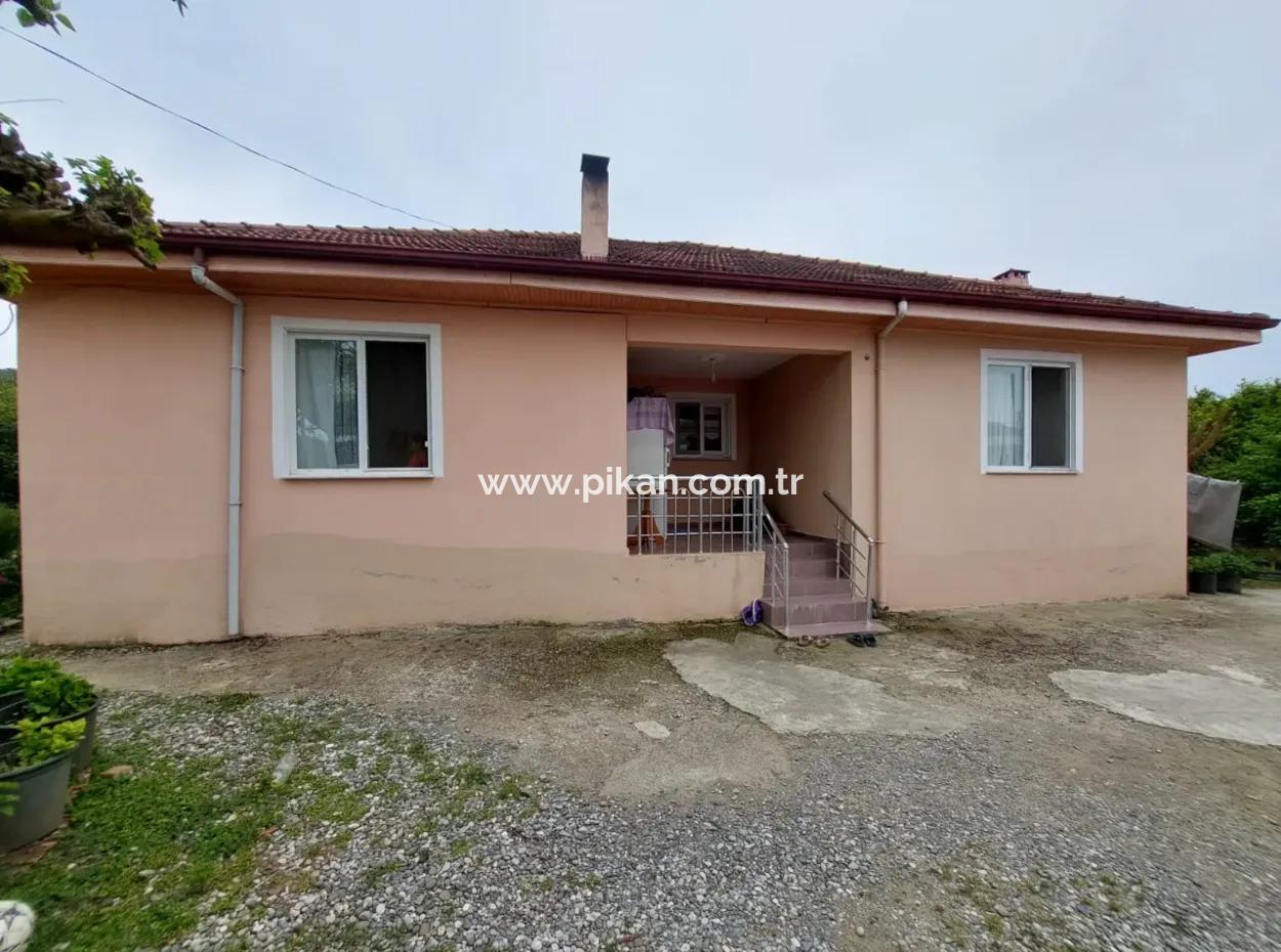 Village House And Farm For Sale On 6.650 M² Fertile Land In Muğla Köyceğiz Poplar