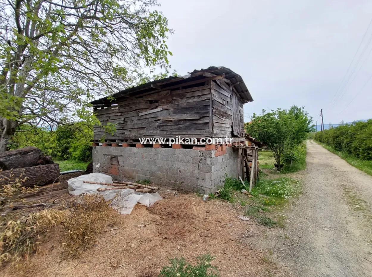Village House And Farm For Sale On 6.650 M² Fertile Land In Muğla Köyceğiz Poplar