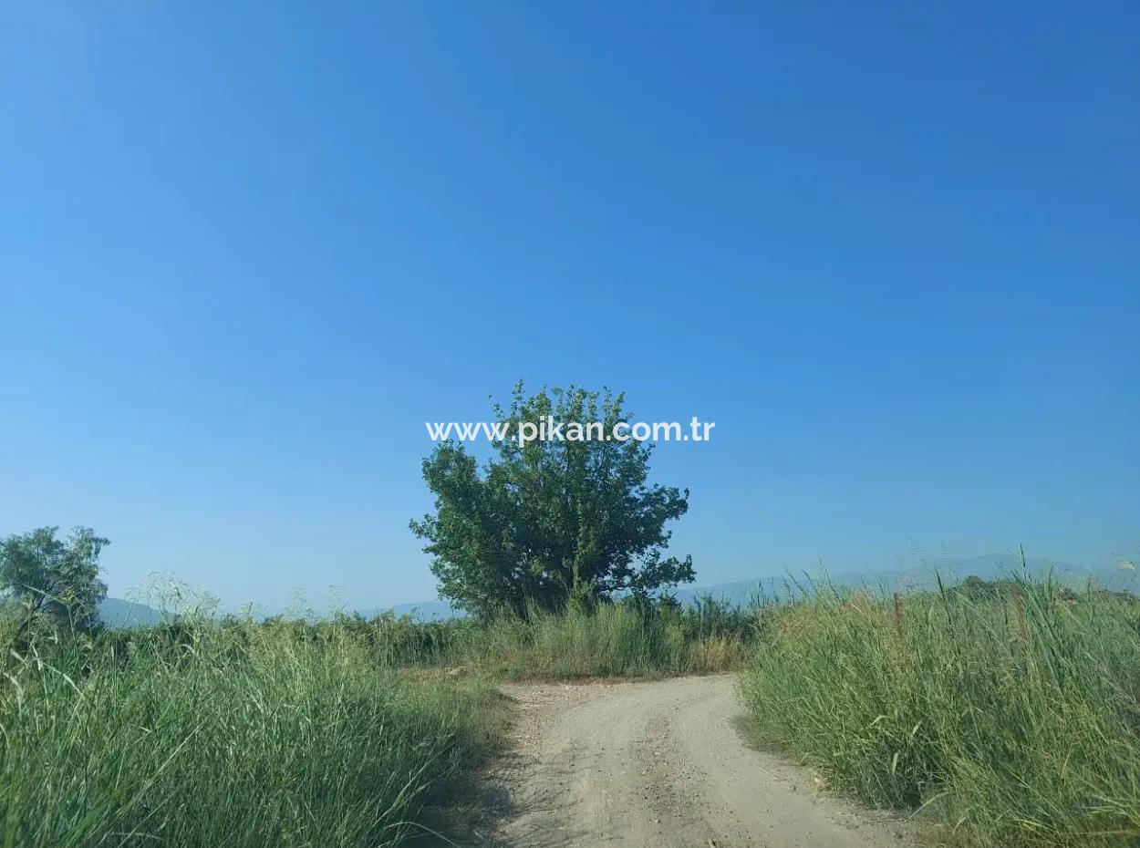 73,500 M² Pomegranate Garden Suitable For Investment In Ortaca Dalyan For Sale