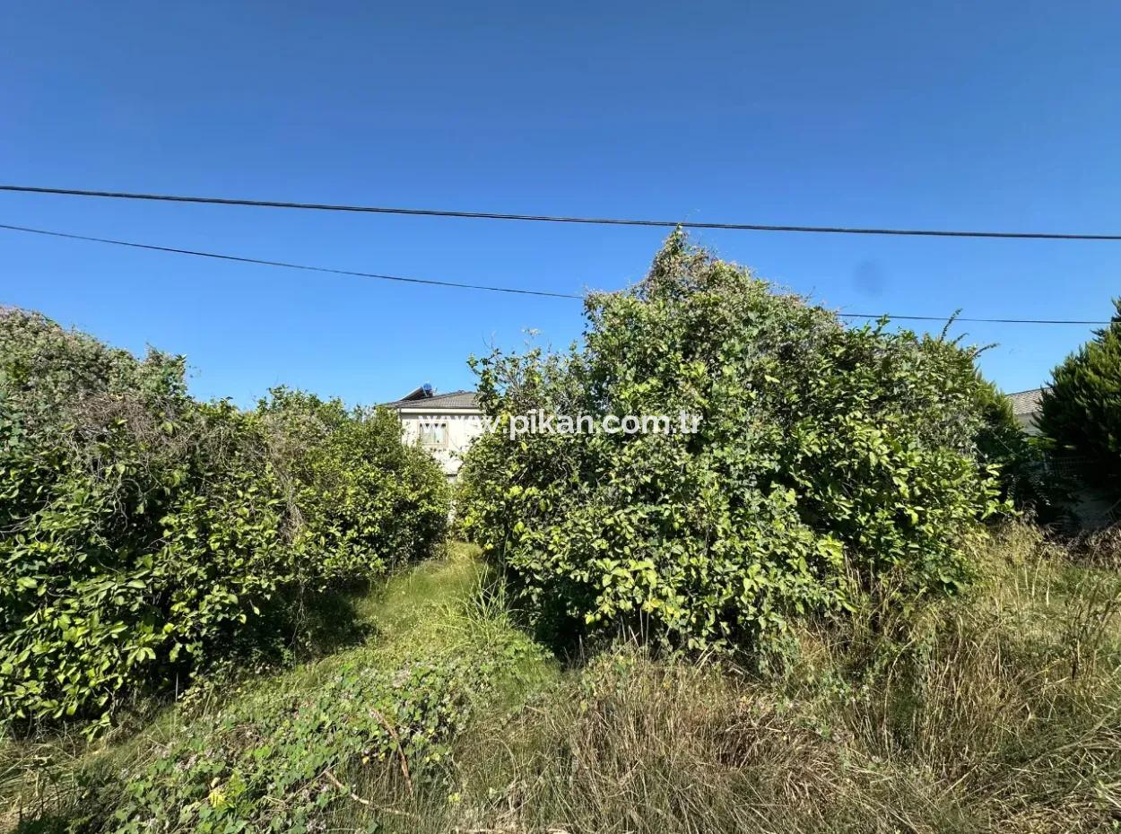 529 M2 Corner Parcel Land For Sale In Ortaca Fevziye