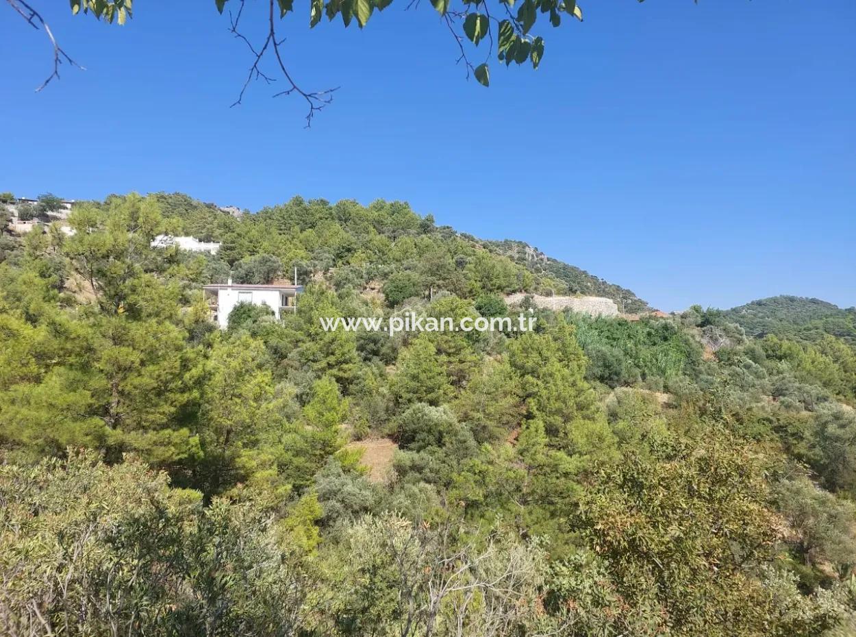 238 M2 Hobby Garden With Detached Title Deed For Sale In Ortaca Gökbel, Muğla