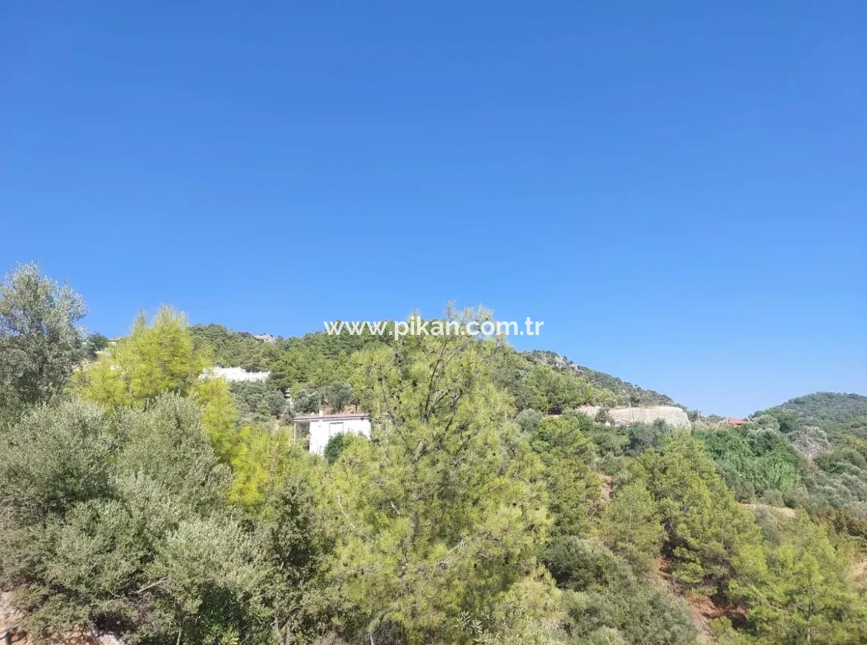 238 M2 Hobby Garden With Detached Title Deed For Sale In Ortaca Gökbel, Muğla