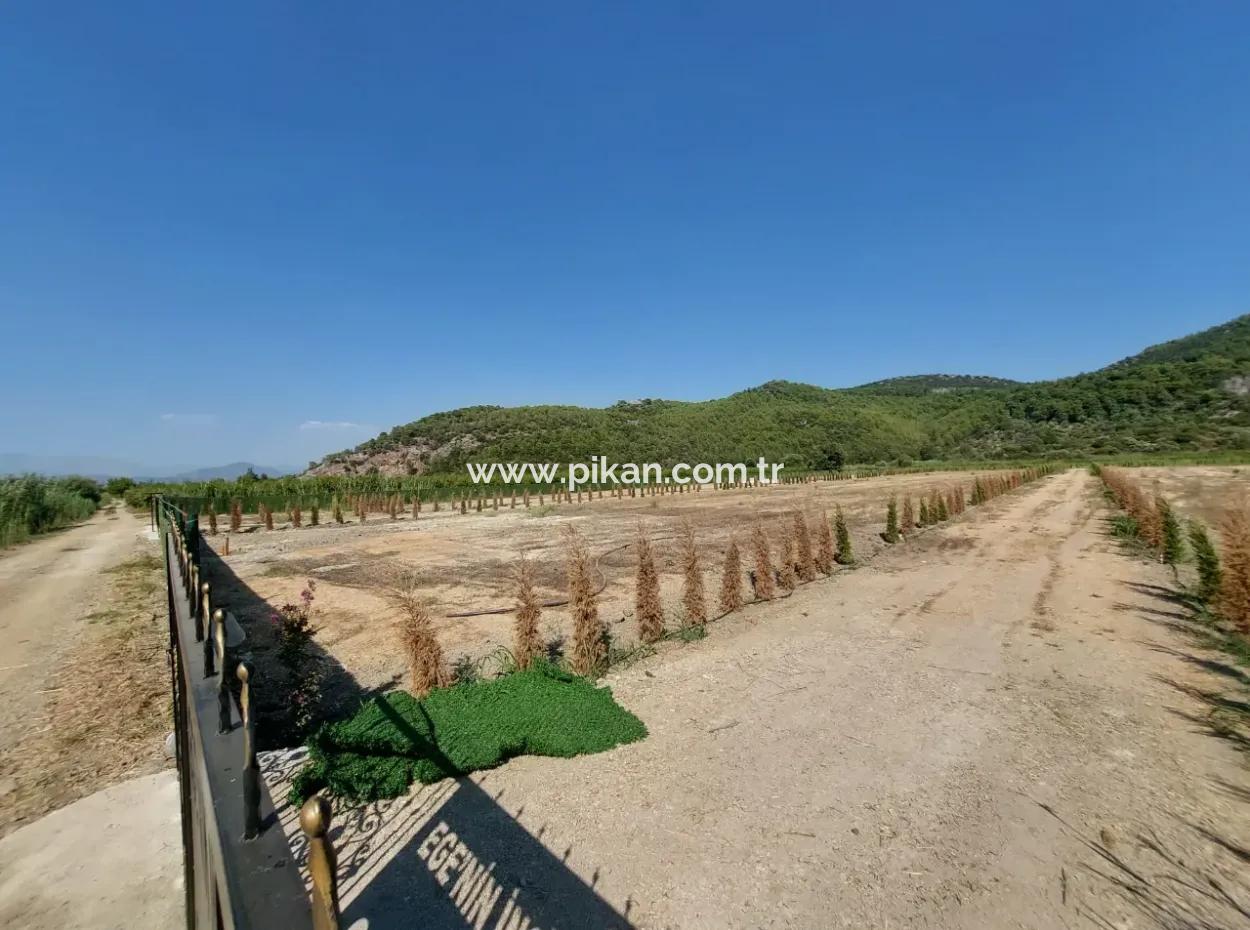 Cooperative Shares For Sale In Ortaca Güzelyurt – 270 M²