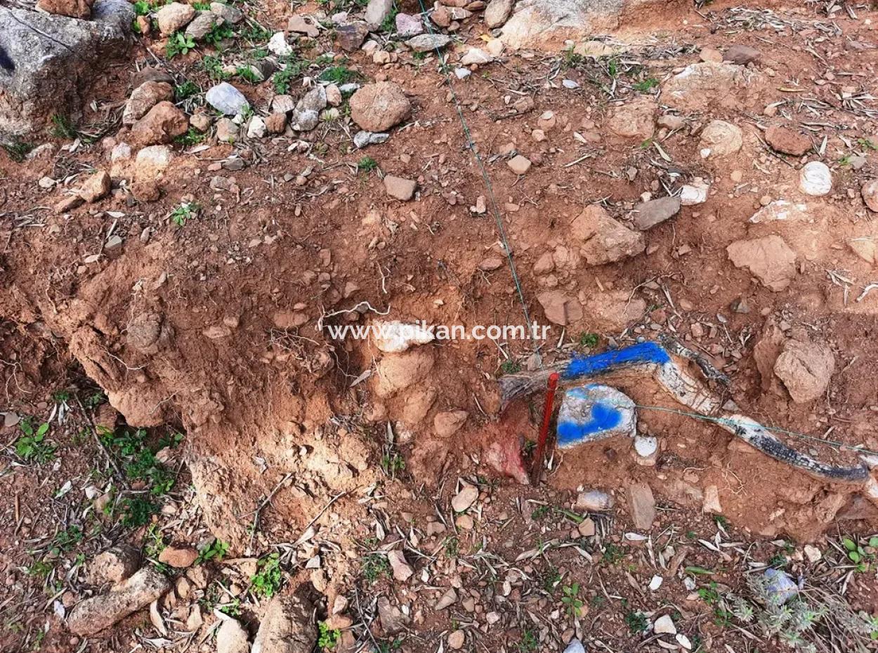 The Right Of Possession Of 3 100 M2 Treasury Land In Muğla Ortaca Dalyan Gökbel Will Be Transferred