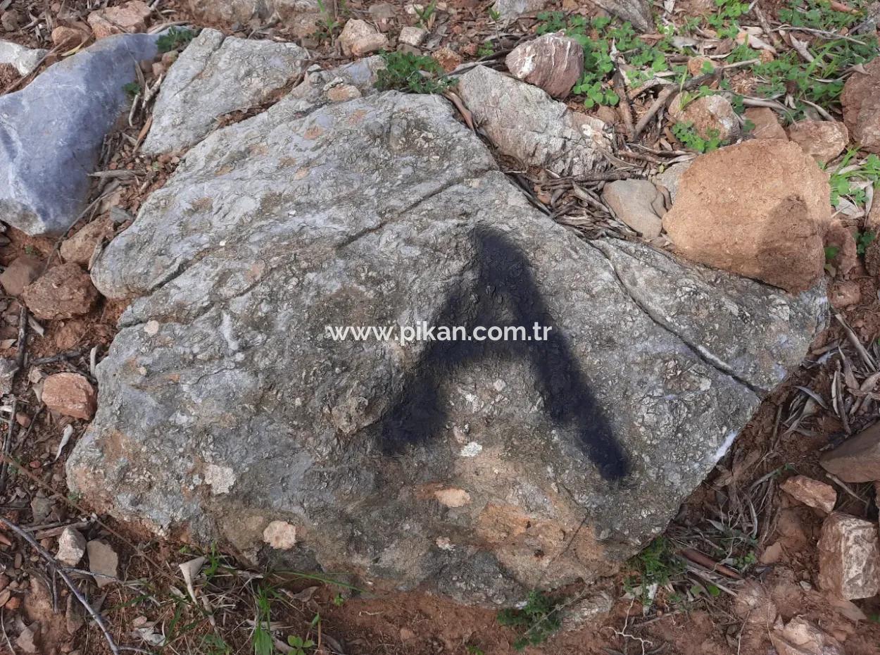 The Right Of Possession Of 3 100 M2 Treasury Land In Muğla Ortaca Dalyan Gökbel Will Be Transferred