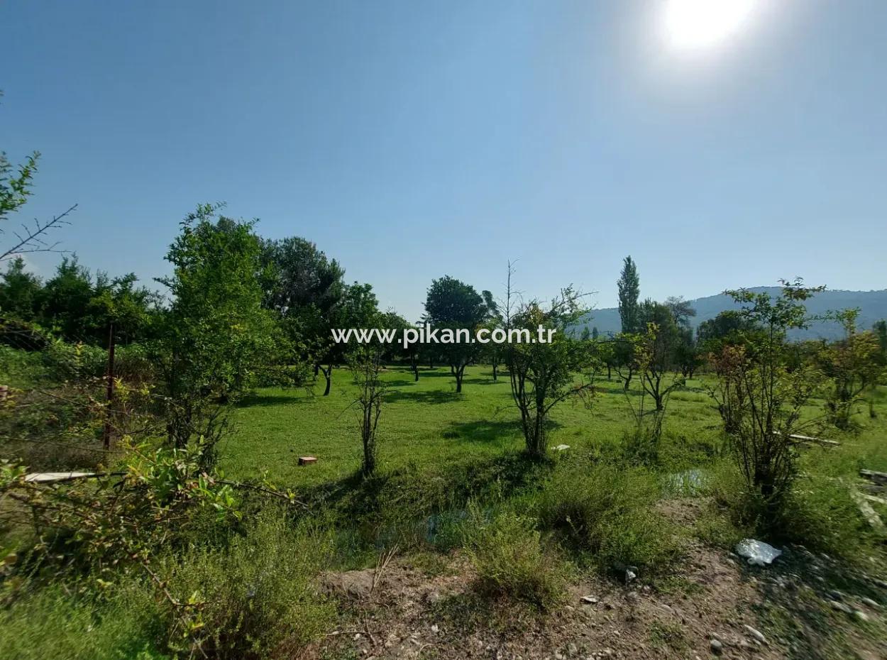 2.500 M² Detached Title Deed Investment Land For Sale In Ortaca Kemaliye