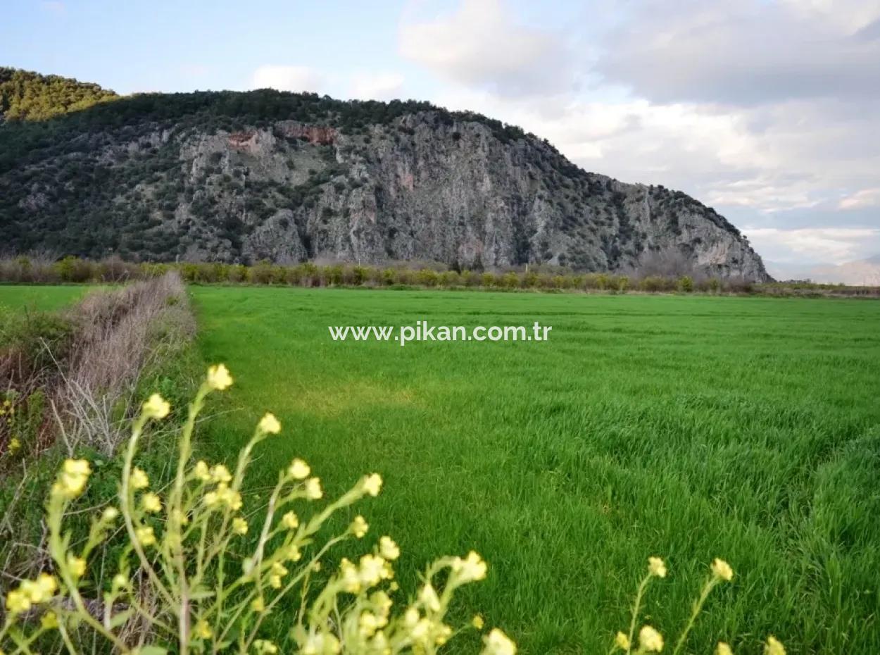 Detached Fertile Bargain Land For Sale In Ortaca Mergenli