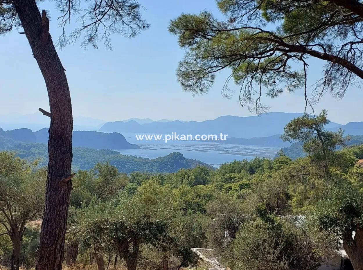 1.361 M² Investment Land With Lake And Sea View For Sale In Muğla Ortaca Gökbel