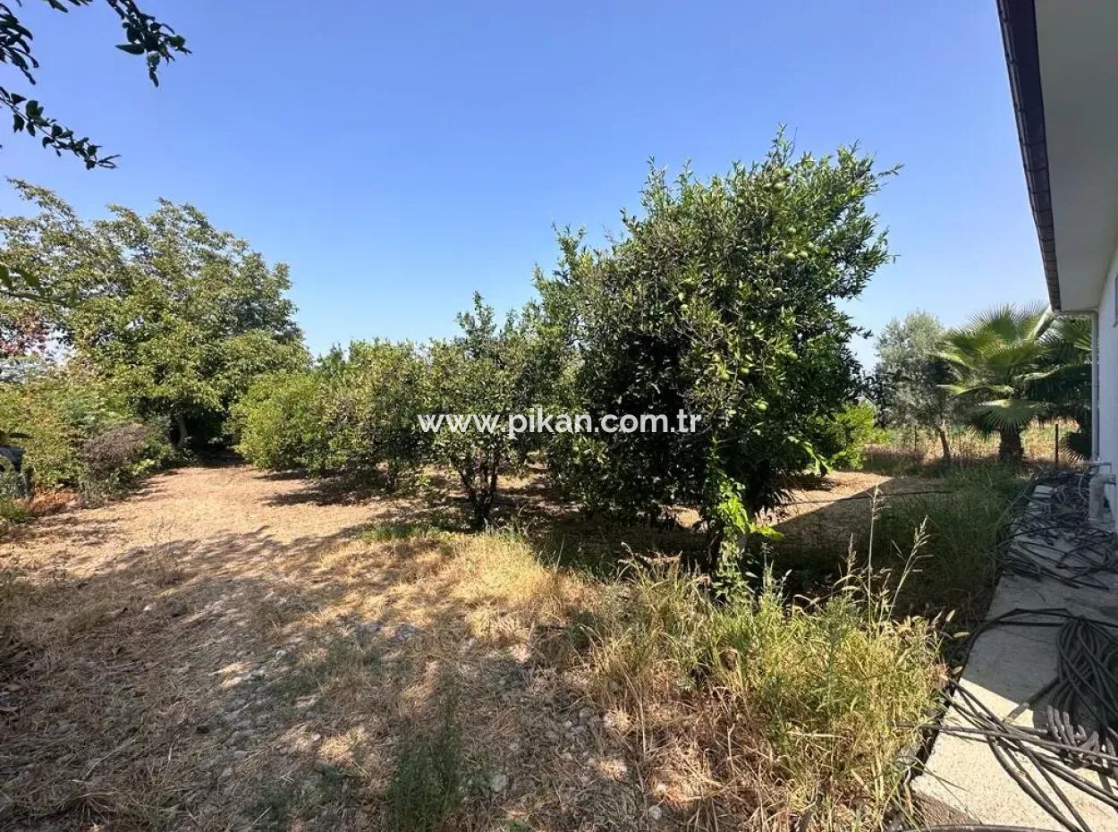 3 1 Furnished Detached House For Rent