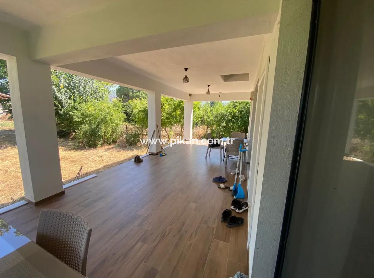 3 1 Furnished Detached House For Rent