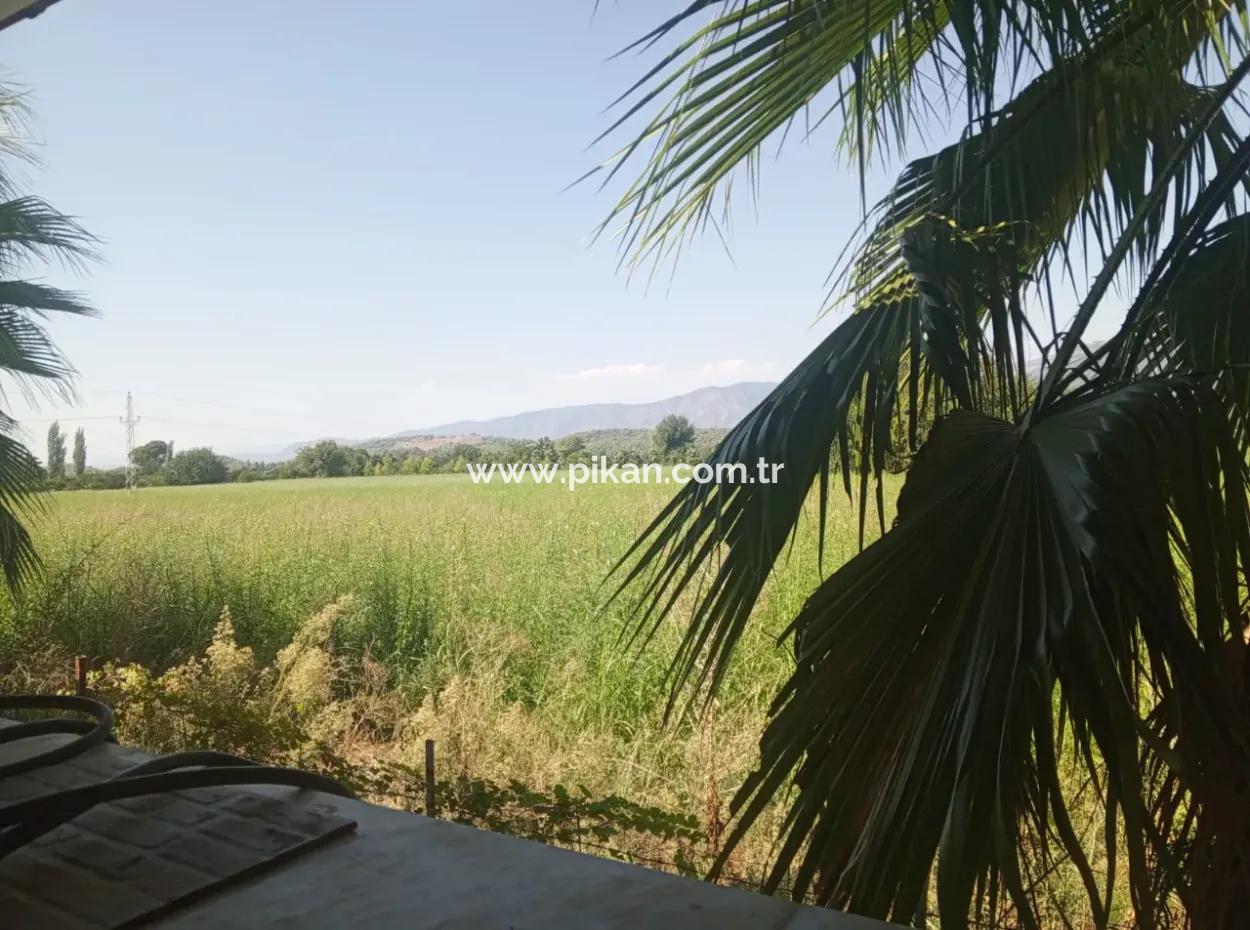 3 1 Furnished Detached House For Rent