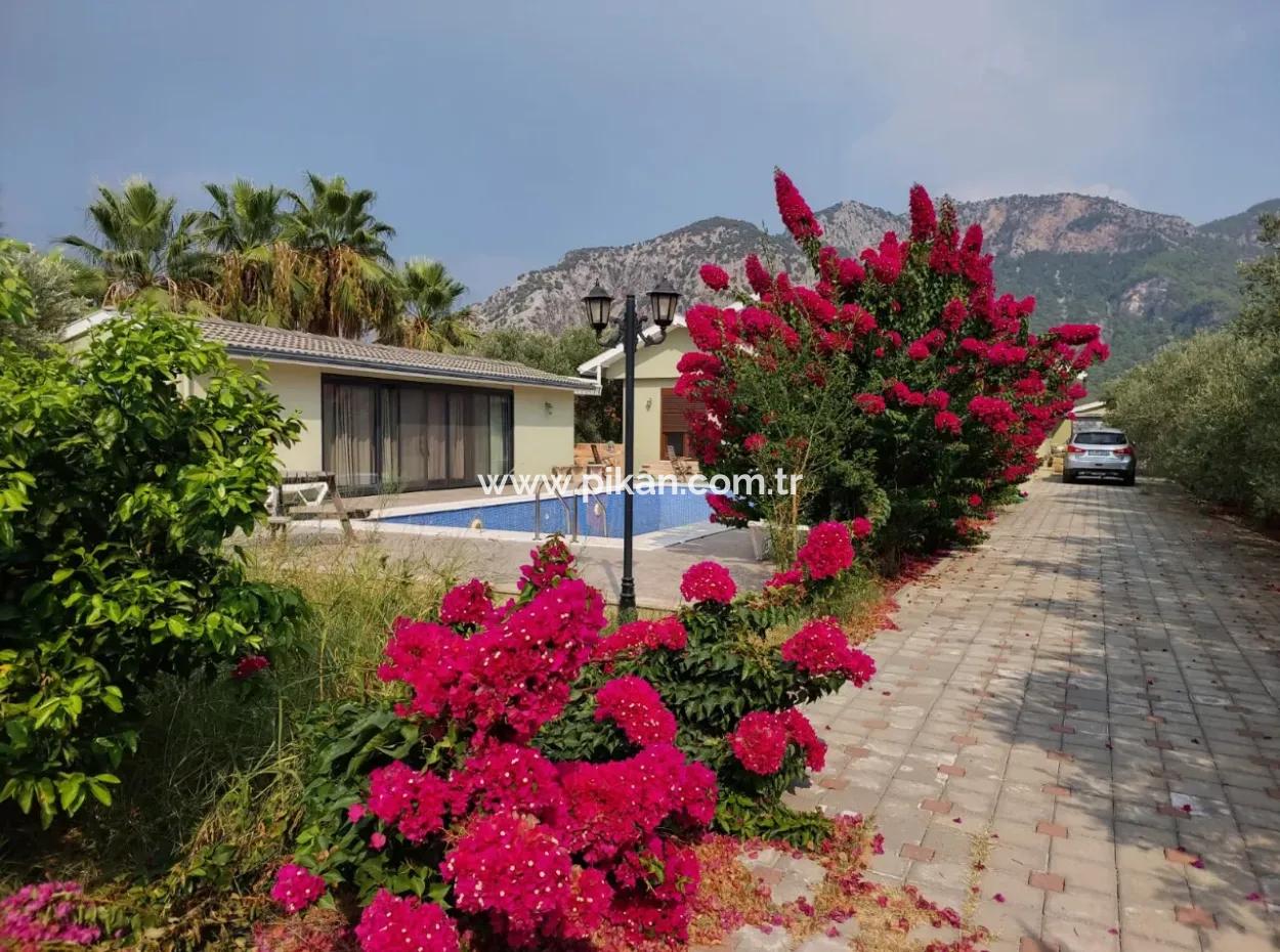 Houses On 3.500 M² Land Suitable For Tourism Investment In Muğla Dalyan For Sale