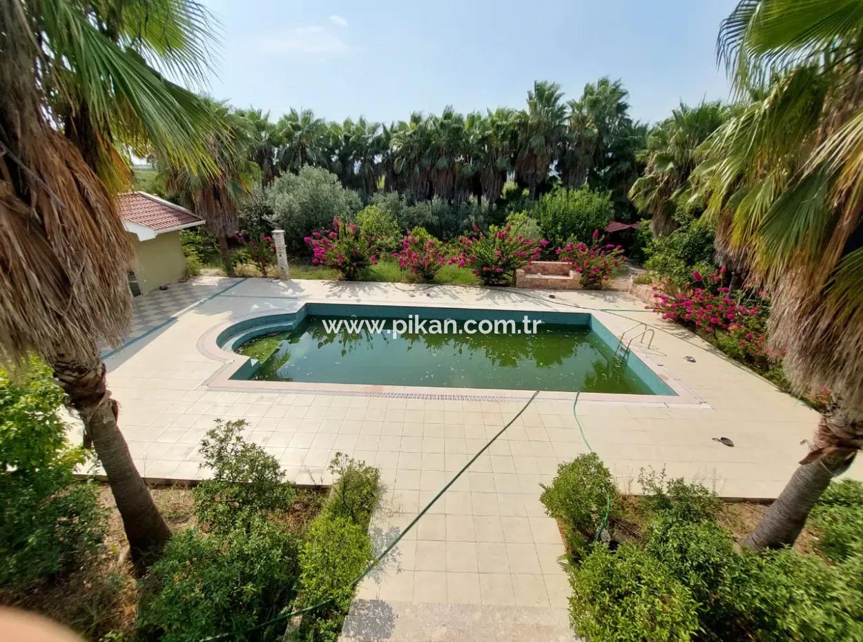 Houses On 3.500 M² Land Suitable For Tourism Investment In Muğla Dalyan For Sale