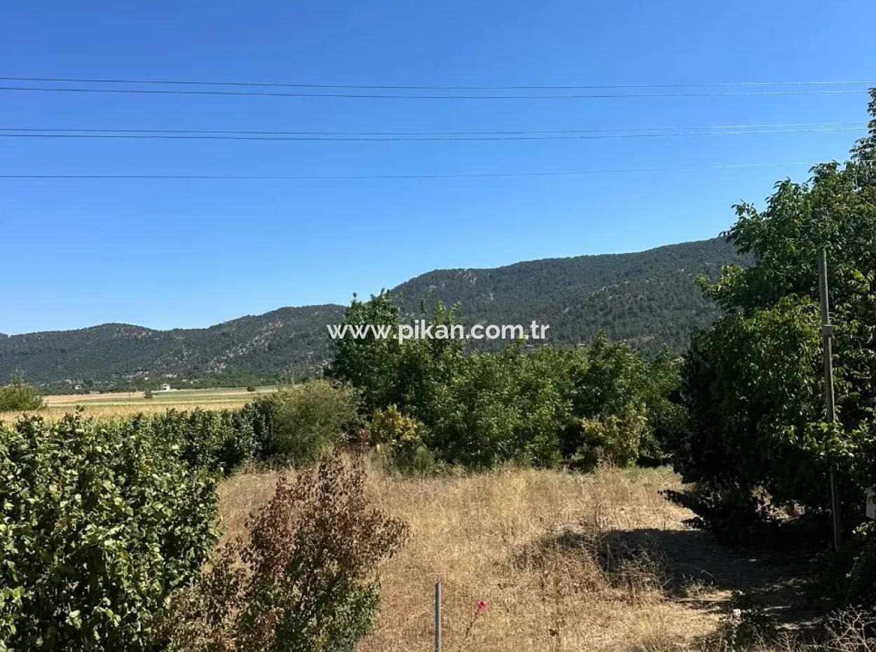 3070 M2 Walnut Orchard For Sale On The Side Of The Main Road In Denizli Çameli
