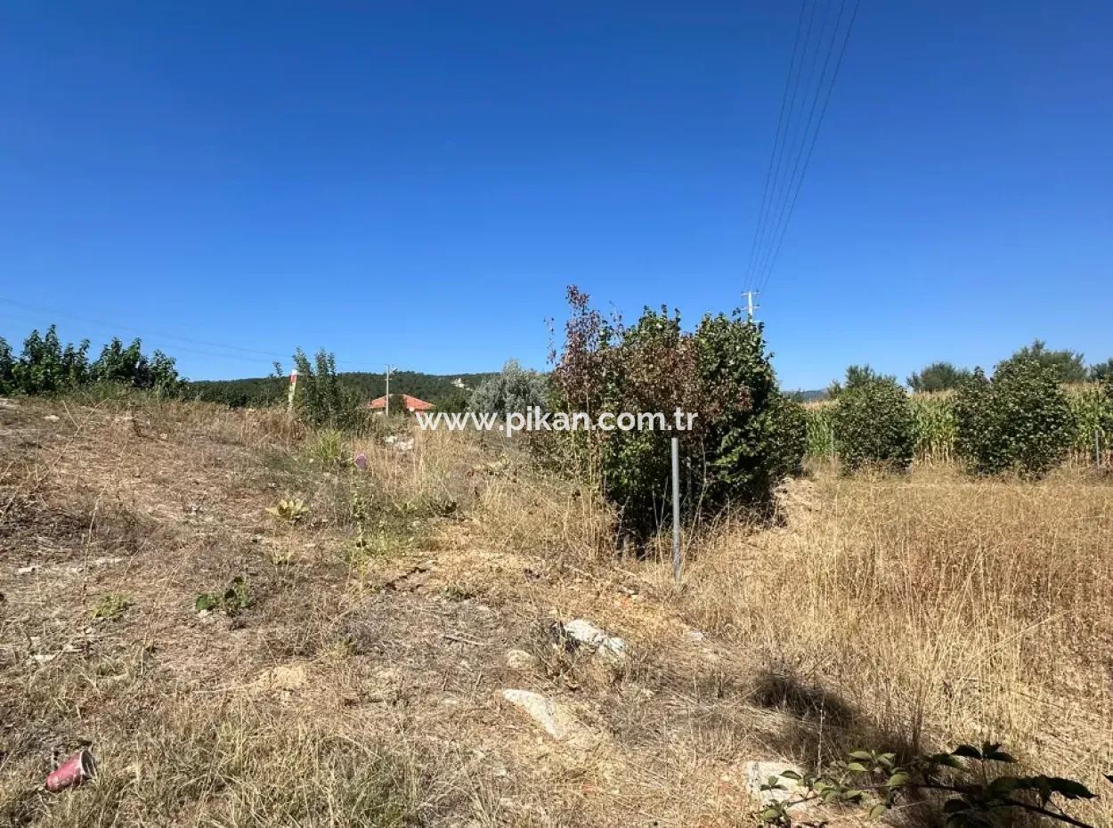 3070 M2 Walnut Orchard For Sale On The Side Of The Main Road In Denizli Çameli