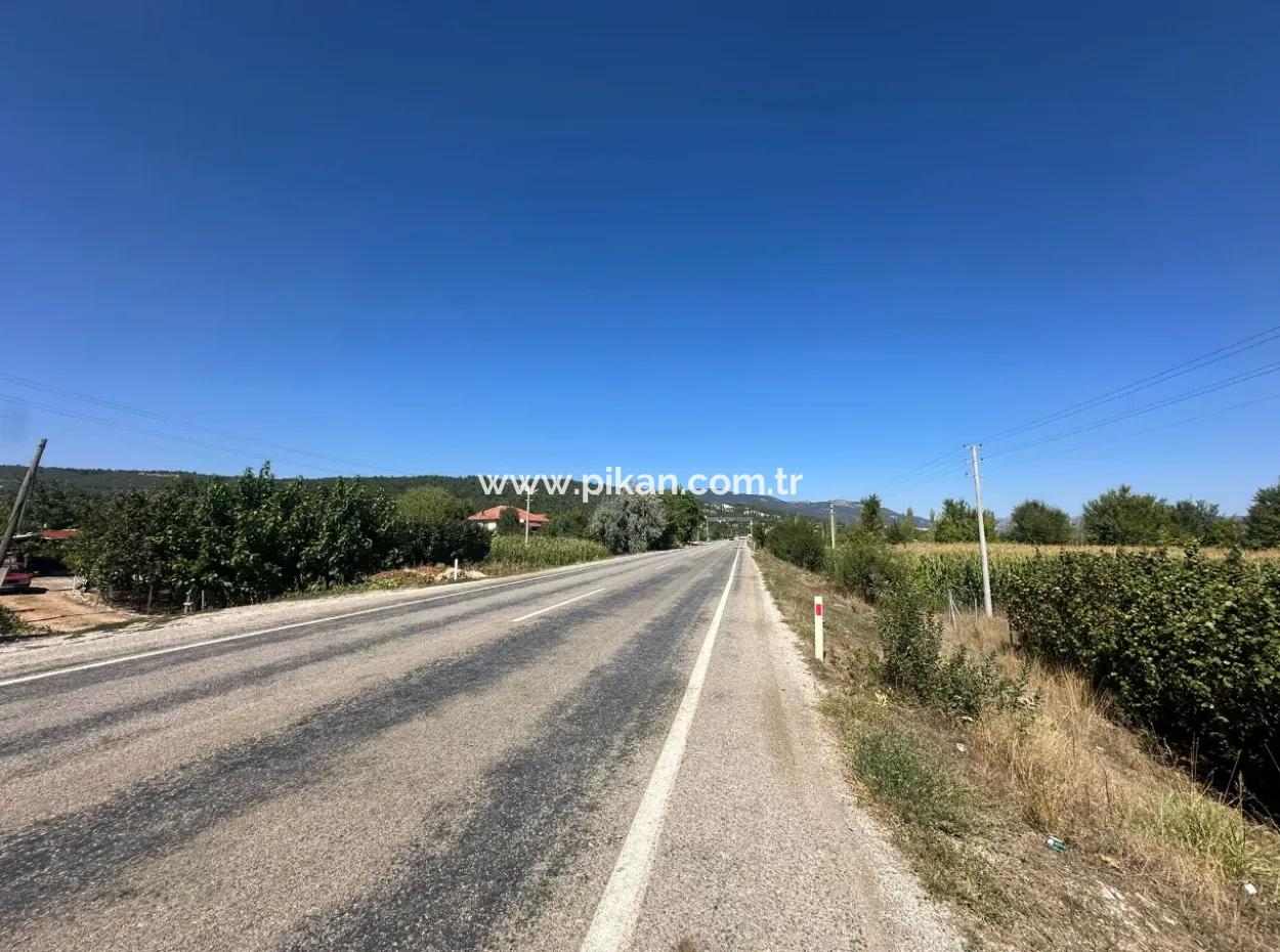 3070 M2 Walnut Orchard For Sale On The Side Of The Main Road In Denizli Çameli