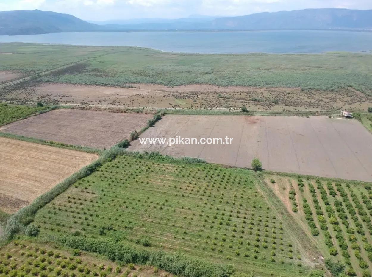 Tepearasi Oriya Bargain Between 13 700 M2 Land For Sale