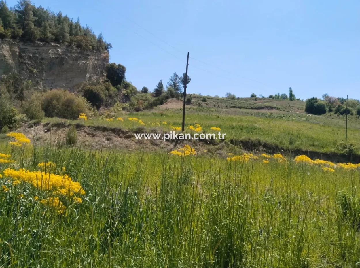 Çameli Kolakta Bargain 20 000 M2 Detached Title Deed Land Is For Sale Or Exchange.