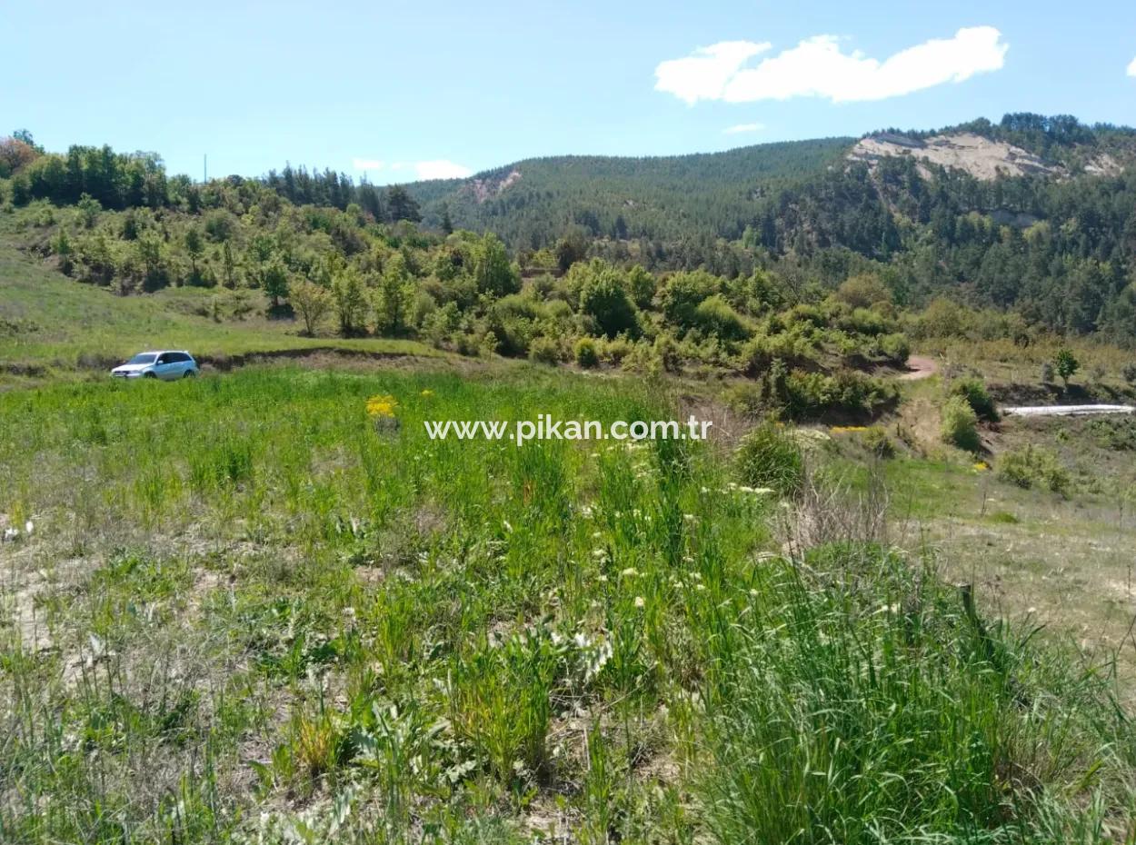 Çameli Kolakta Bargain 20 000 M2 Detached Title Deed Land Is For Sale Or Exchange.