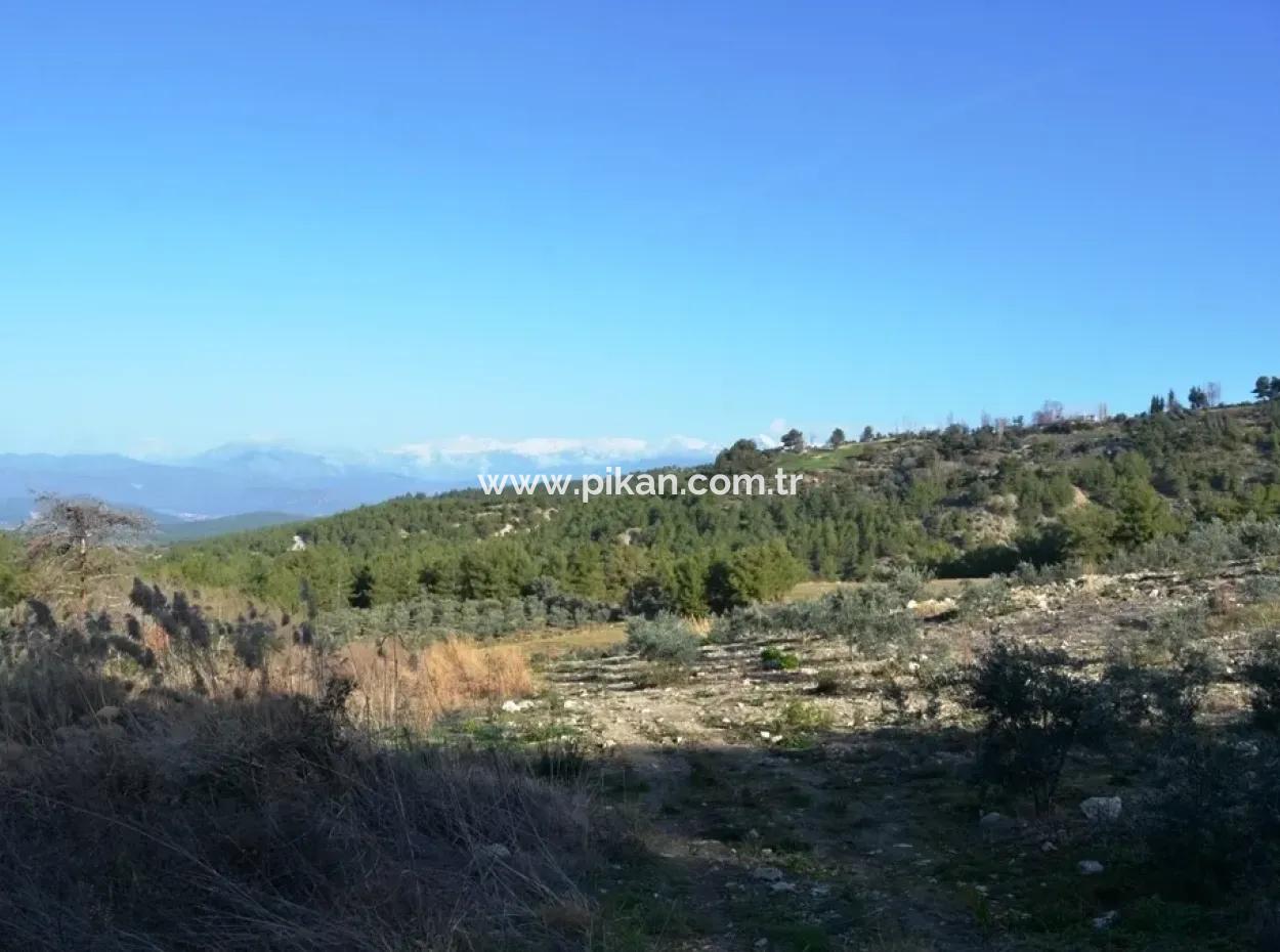 Valuable Waterfront Land For Sale In Tlos Fethiye Collar