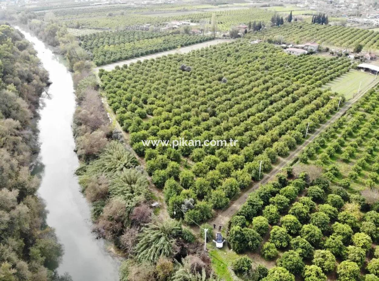 18 Acres Of Land For Sale In Muğla Ortaca Akıncı