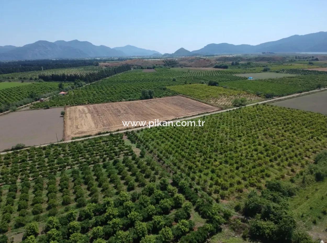 Tepearasi Oriya Bargain Between 13 700 M2 Land For Sale