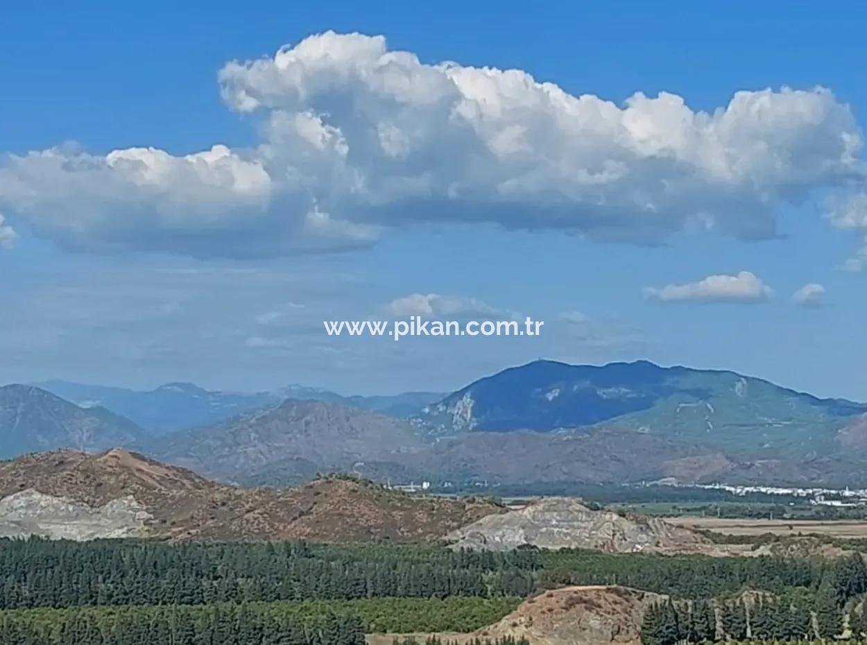Ortaca Fevziye Sea And Nature View Bargain Detached Olive Grove For Sale