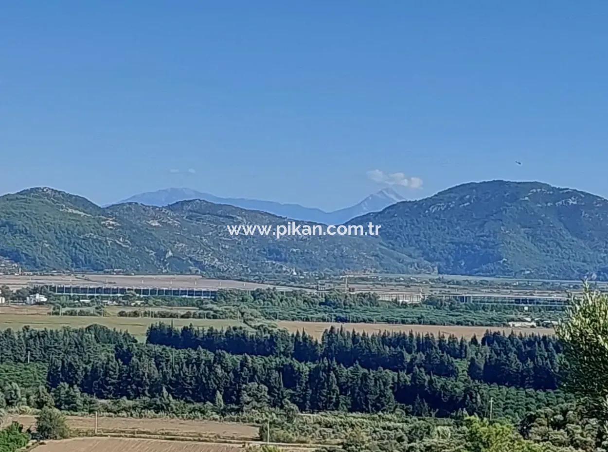 Ortaca Fevziye Sea And Nature View Bargain Detached Olive Grove For Sale