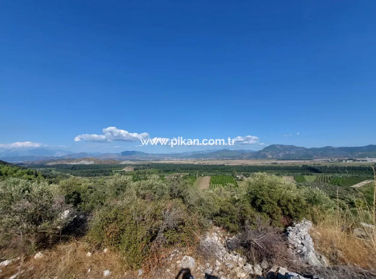 Ortaca Fevziye Sea And Nature View Bargain Detached Olive Grove For Sale
