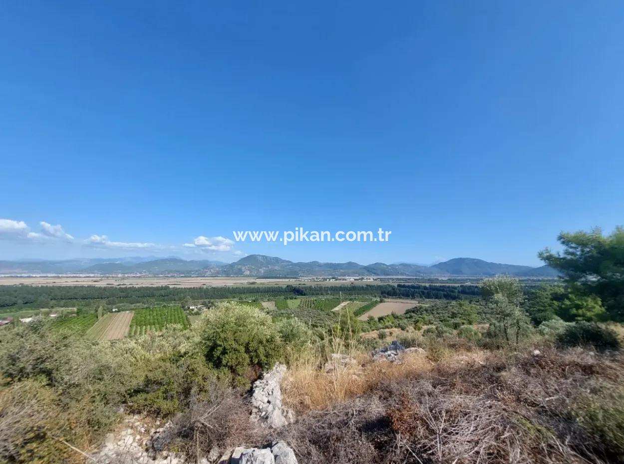 Ortaca Fevziye Sea And Nature View Bargain Detached Olive Grove For Sale