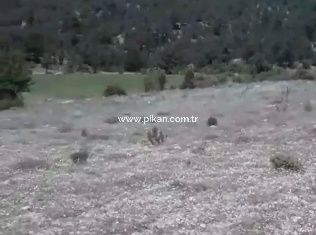 1770 M2 Field For Sale In Çameli Ayvacık