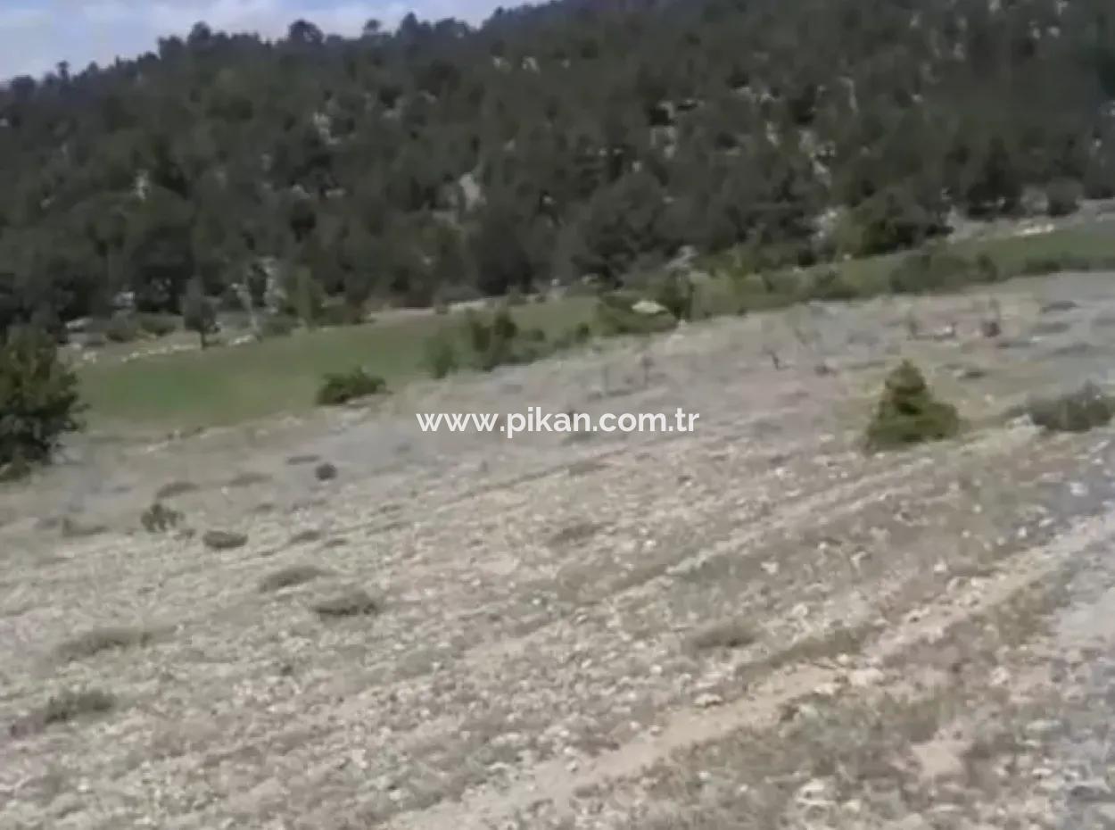 2030 M2 Field For Sale In Çameli Ayvacık