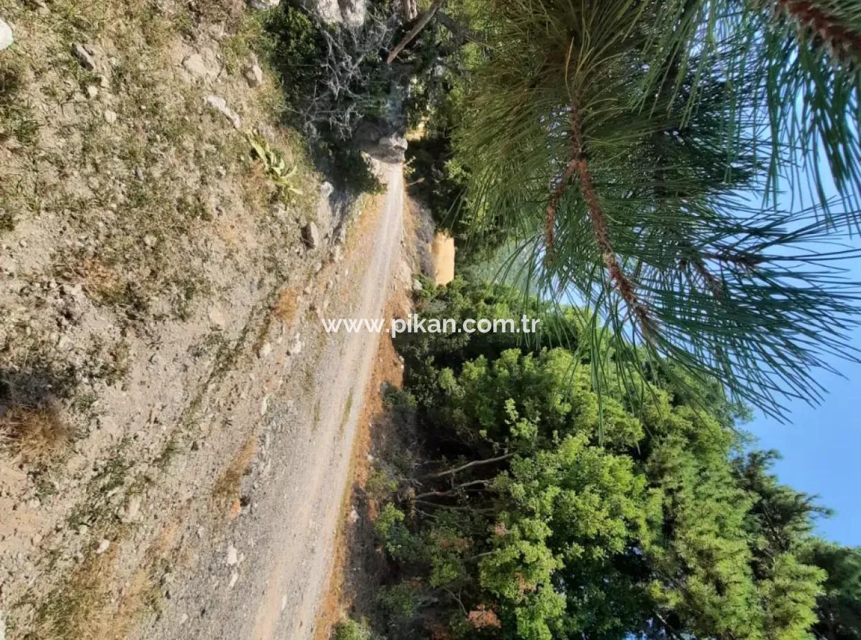 Fethiye, Nif Te, 2 100 M2, For Sale, Bargain Land