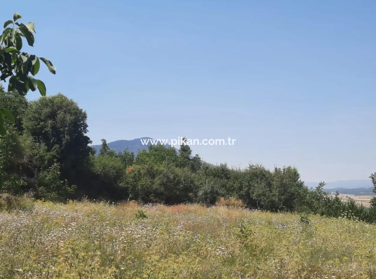 Fethiye, Nif Te, 2 100 M2, For Sale, Bargain Land