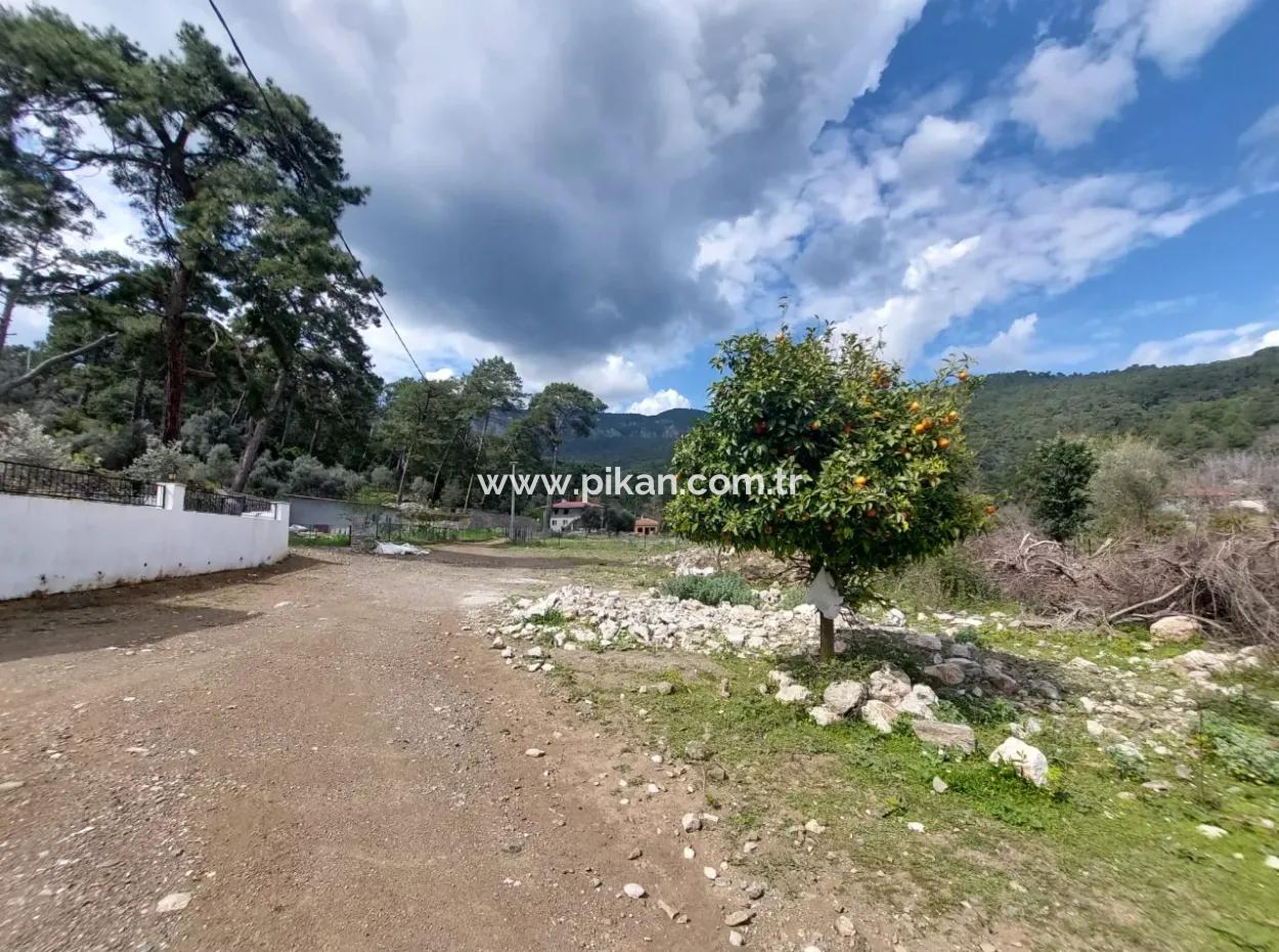 1 000 M2 Land For Sale In Muğla Köyceğiz Çandır Center
